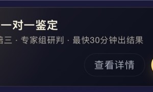 商品交易信任怎么建？图灵鉴X的鉴错包赔与B端落地