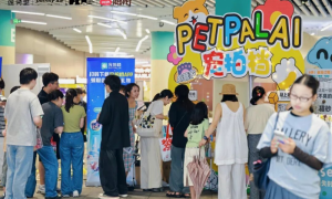 潮新闻专访宠拍档：以AI技术打破养宠信息壁垒，打造随身智慧兽医